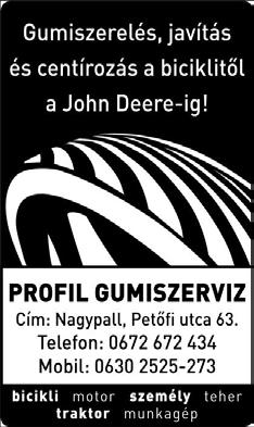 évfordulóján 14,00 Videcz Ferenc emlékkiállítás Megnyitja: dr. Szelle Tibor Hidas polgármestere 15,00 Kultúrműsor Fellépők: Benedek Elek Ált. Isk.
