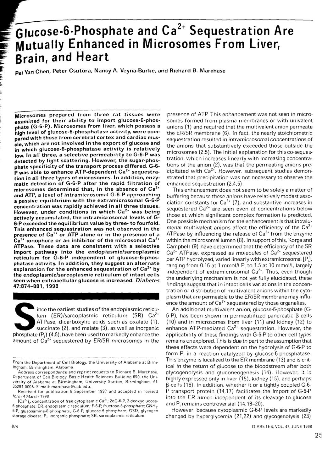 E Glucose-6-Phosphate and Ca2+ Sequestration Are Mutually Enhanced in Microsomes From Liver, jr Brain, and Heart I: ^ jyiicrosornes prepared ^from three rat ^tissues were presence of ATP.