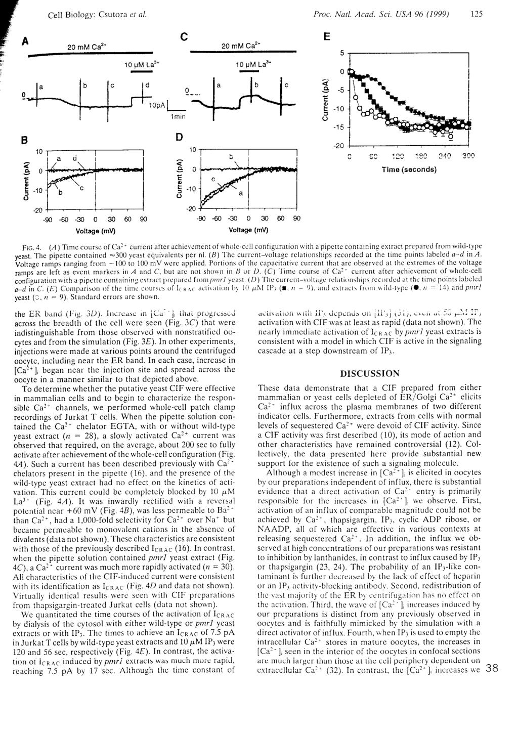 Cell Biology: Csutora et al. Proc. Natl. Acad. Sci. USA 96 (1999) 125 n K ' S Compart^ Í a n d e ^ " ='l4)and pmrl the ER band (Fig. 3D).