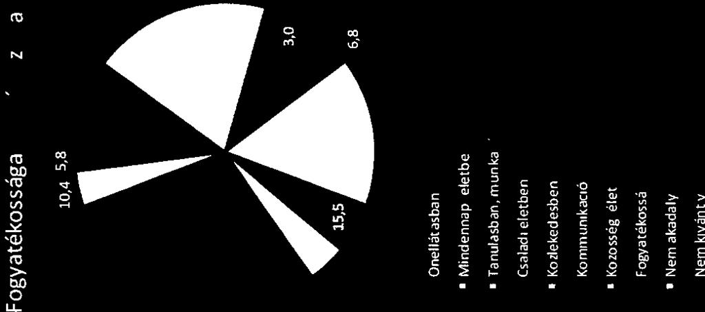 Fogytékosság kdályozttás 10,4 5,8 y :0 15,5 6,8 Önellátásbn I Mindennp: eletben Tnulásbn.