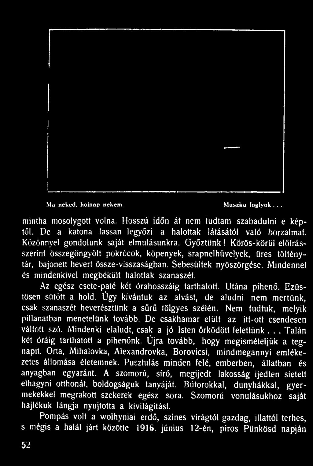 Sebesültek nyöszörgése. Mindennel és mindenkivel megbékült halottak szanaszét. Az egész csete-paté két órahosszáig tarthatott. Utána pihenő. Ezüstösen sütött a hold.