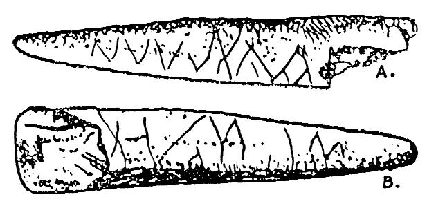 A bajóti pálcavég karcolatai Lambrecht Kálmán Az õsember c. könyvében (Dante Kiadás, 1931) fedeztem fel a bajóti pálcavég rajzát. 1. kép A pálcavégrõl itt csak ennyi olvasható: A magyarországi õsember mûvészetének nyomai.