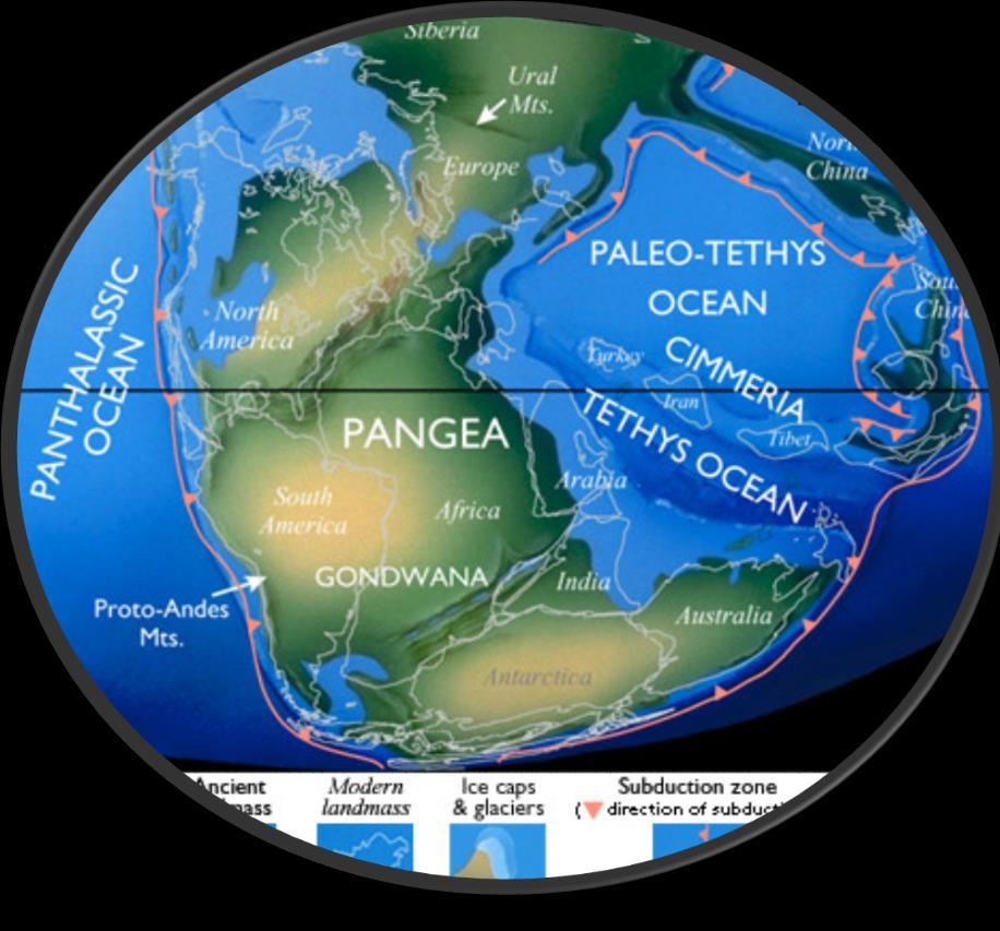 - kialakult az őskontinens - Pangea, melyet az ősóceán Panthalassa vett körül, majd az őskontinens