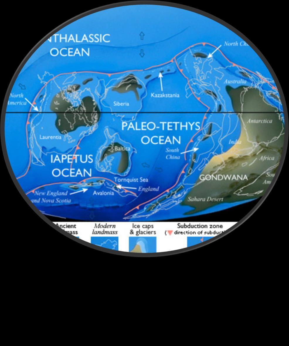 Földtörténeti ókor - Paleozoikum