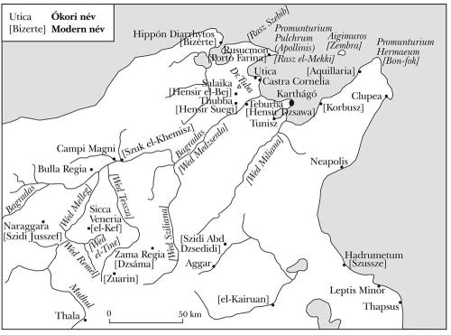 Utica, és egy siculus törzs.