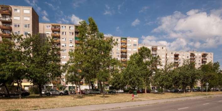 A Központi lakótelep az Árpád út északi és déli oldalán terül el. A lakótelepen belül számos régi közintézmény épülete található, ilyen a bíróság, az iskolák, az egyetem, és a Károlyi kórház.