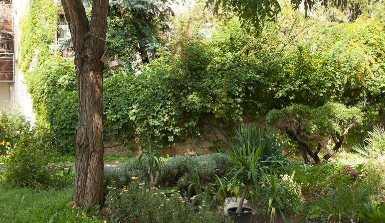AJÁNLÁSOK KÖZPARKOK ZÖLDFELÜLETEK TERÜLETEIRE Fontos az utcák, terek, patakpartok, parkok rendezettsége, karbantartása, a növényállomány folyamatos ifjítása, megfelelő minőségű, mennyiségű és