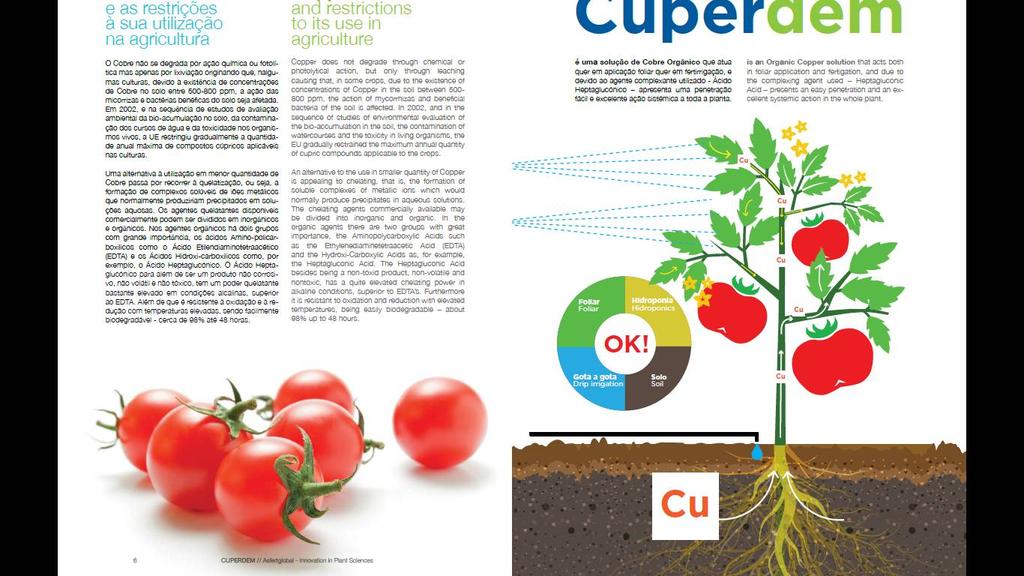 Foliar Permetezéssel Hidroponia Vízkultúrás termesztés Gota a gota Csepegtető öntözéssel Solo Talajon termesztés Kísérletek dió és olívaültetvényekben Célkitűzés: A Cuperdem készítményben lévő réz