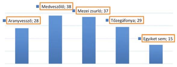 Elgondolkodtató, hogy csupán az esetek 41%-ában használná a beteg csak az orvost által felírt gyógyszereket. További fontos kérdés, hogy az orvos vajon tud-e ezeknek a készítménynek az alkalmazásáról.