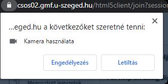Az alul található kezelő gombokkal a részvételi módunkat állíthatjuk be (zöld keret).