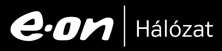 Gyártó: Holley Technology LTD.