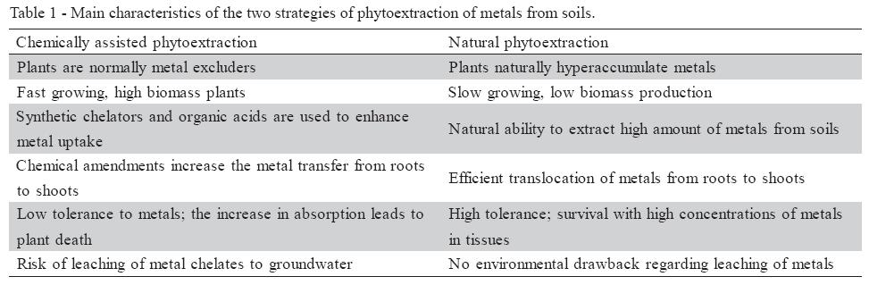 (Salt et al.