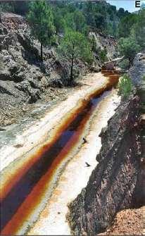 Antropogén szennyező források: a bányászat Acid Mine Drainage 2FeS 2 + 2H 2 0 + 70 2 = 2FeSO 4 + 2H 2 SO 4 4FeSO 4 + 20 2 + 2H 2 SO 4 = 2Fe 2 (SO 4 ) 3 + 2H 2 0