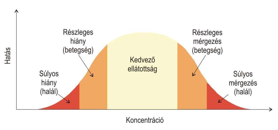 A megfelelő mennyiség