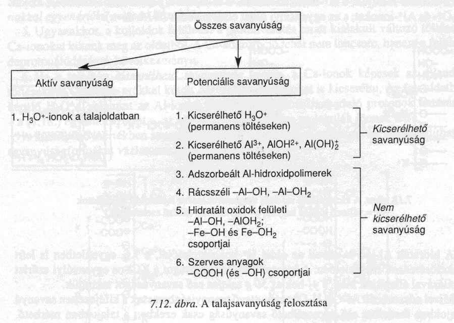 A talajsavanyúság típusai