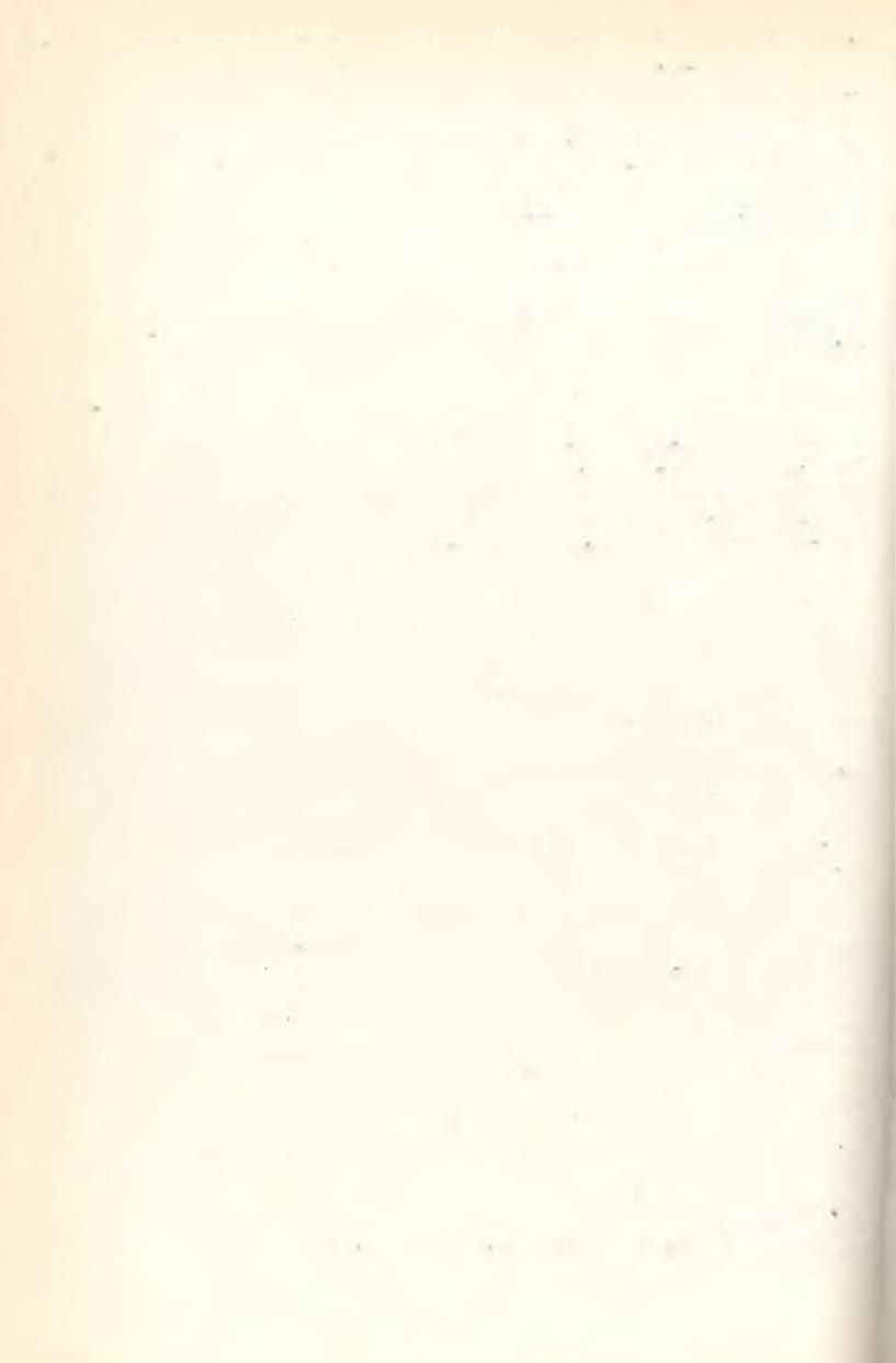am it a négy keréken gördülő kocsi n y ú jt a benne ülőnek. Nem, ez egészen más term észetű kocsikázás. A hasloszij hozzárögzíti a rudakat a lo törzséhez.