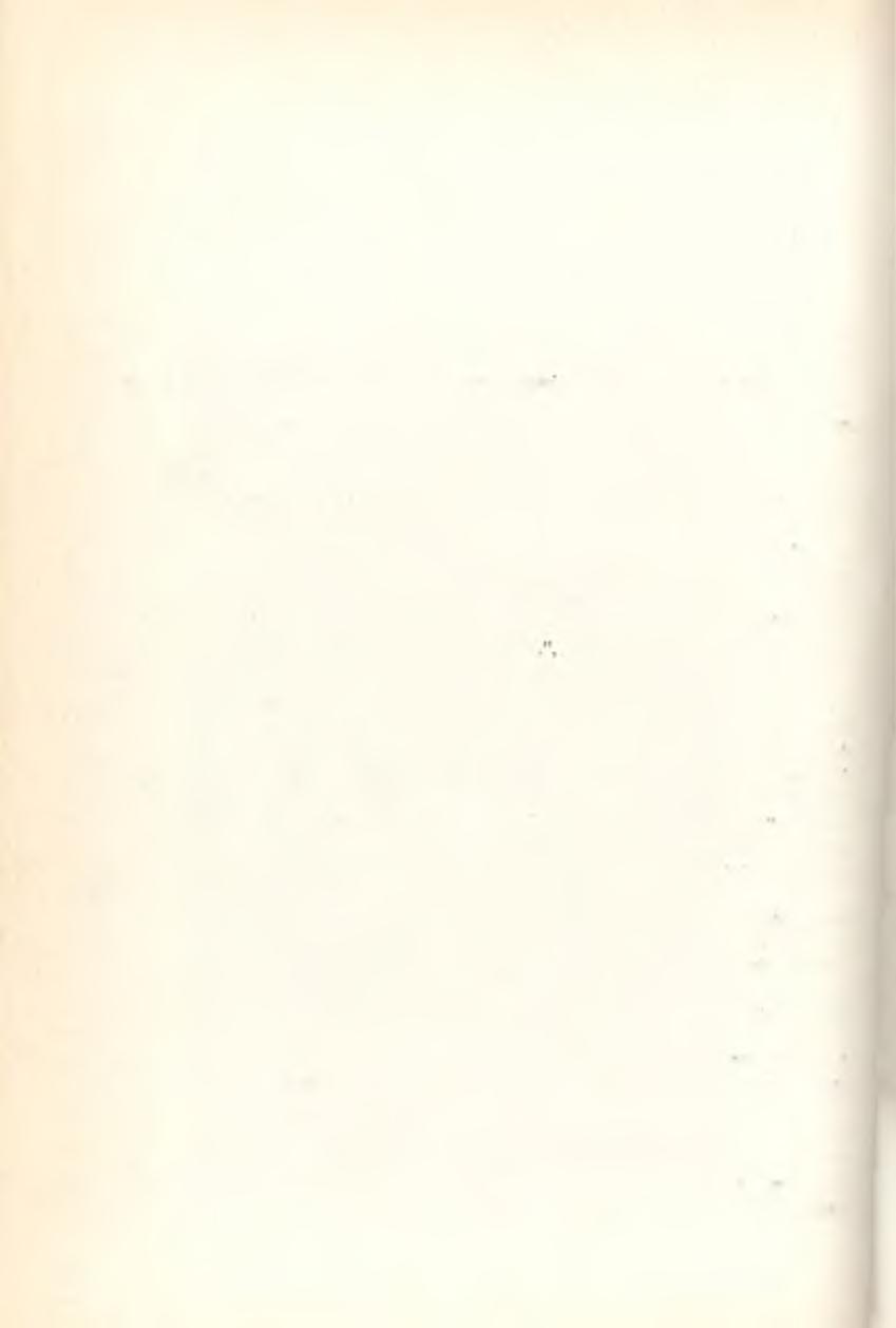 DIENES ö. ISTVÁN: A nyíregyházi városi múzeum alakulásáról N ém eth Péter, a Szabolcs-Szatm ári Szem le 1961). évi 3. szám ában Dr.
