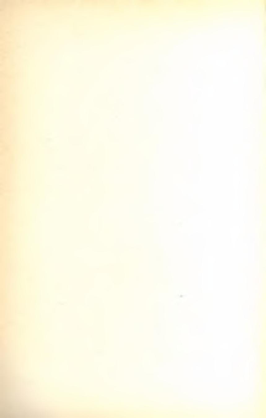MAGYAR JÓZSEF három v e r s e ----------- ------------------------- 77 BODNÁR ISTVÁN két v e r s e -----------------------------------------78 DÚSA LAJOS: L e b e g ü n k