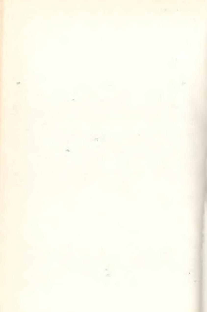 gyűlések alatt még nem volt itt. Mándy Péter1)3 is igen beteg, mondjak mar jobban van. Többnyire kedvezéseibe zárt atyafi tisztelettel vagyok NKároly, Dec. S-d., 1841. Édes Bátyámnak 3. ÉDES BÁTYÁM!