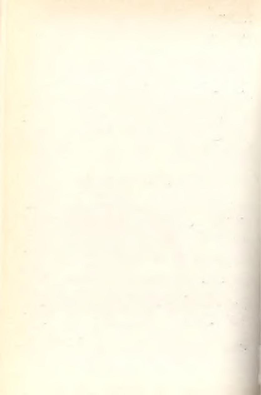 Vetelek, beszélgetések).