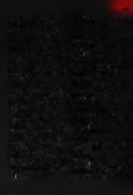 e ]VJ$ négy üveg palaczk benne, ki tele, ki félig éget borral (Tgy. 1548 798.). Pincetorok. 1738: A Varos pincze torkában csináltattunk egy küszöblabat (Kvh.). Pincés-kád.