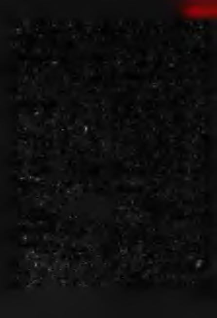 szaros víisííz napokon azon husi vagh azoktól két pénzt d. 2. [t..keli szedni] (Kvh): 1606: Jeoveo VűSű/igh varion ell (Miki. 1605 6.). L még abrak-, barom-, sokadalom- al. Vásárbíró.