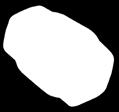 FY10004MM 1/2" FY10005MM 3/4" FY10006MM 1" FY10007MM 1 1/4 FY10008MM 1 1/2 FY10009MM