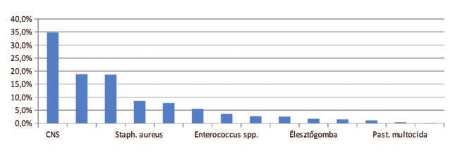 SZARVASMARHA Az antibiotikumok felelős és korlátozott használatának lehetőségei és eszközei a tőgygyulladás elleni védekezés során szerző: Dr