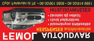 Telefon: 06 70/233 9213 Fűnyírás, fűkaszálás, sövényvágás, fakivágás, gyökér kivétellel, fametszés, rotálás, bozótirtás!