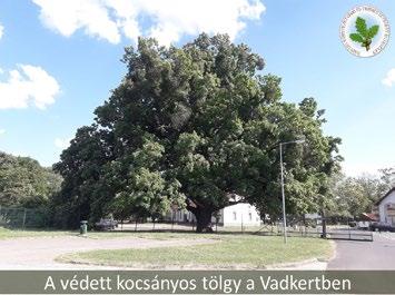 Az országos jelentőségű védett természeti területek (pl.