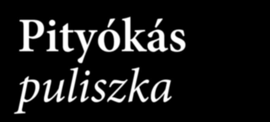 Vendéglátónk előkészített mindent, így a kézfogás után rögtön el is kezdte a pityókás puliszka főzését. Amíg főtt a pityóka, házigazdánk fiatalkori emlékeiről mesélt.