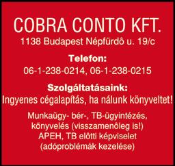 szerviz, autójavítás olajcsere computeres hibadiagnosztika mûszaki vizsgára való