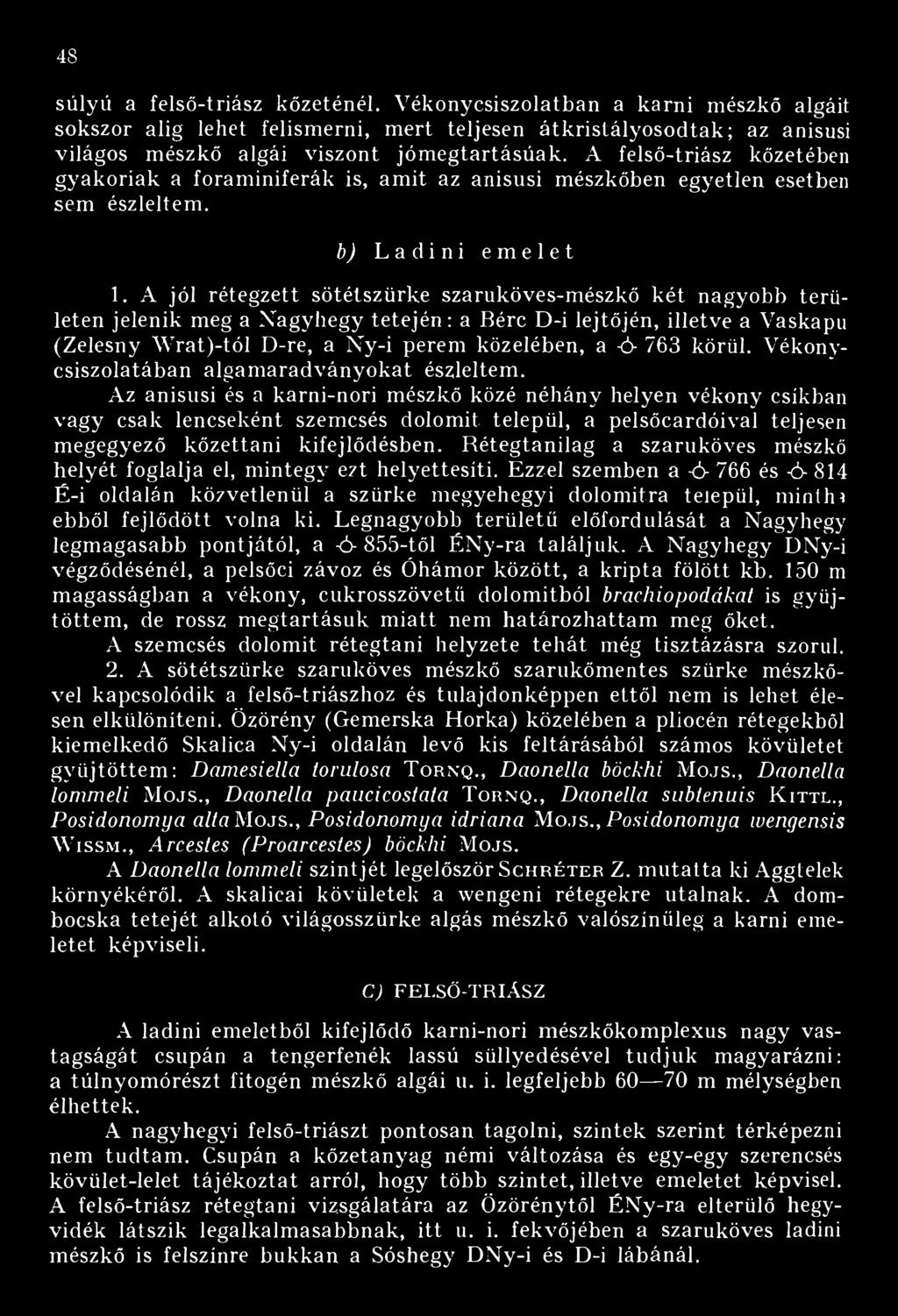 A jól rétegzett sötétszürke szaruköves-mészkő két nagyobb területen jelenik meg a Nagyhegy tetején: a Bérc D-i lejtőjén, illetve a Vaskapu (Zelesny Wrat)-tól D-re, a Ny-i perem közelében, a -ó- 763