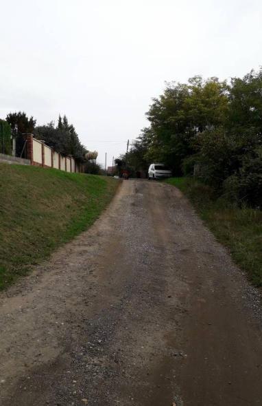 Sisak