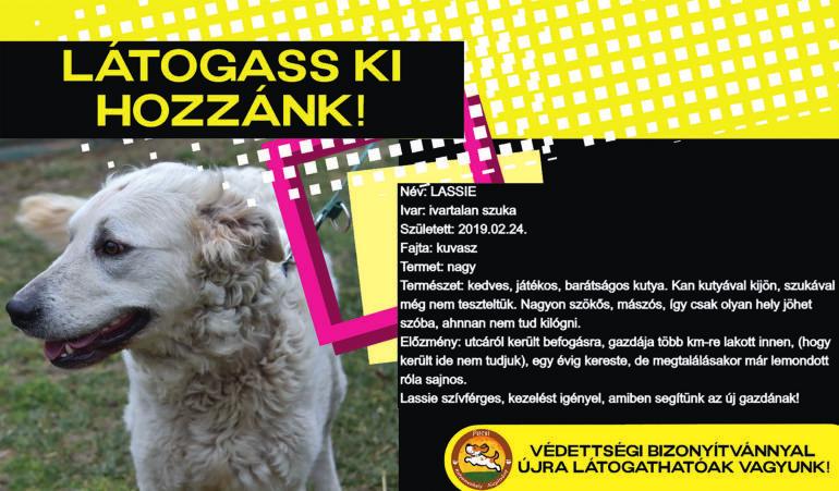 iparművészeti tanszakokra A felvételi időpontja: 2021. június 9. 10. 11.