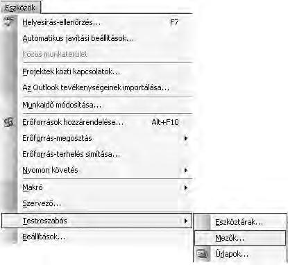 A második esetben a látszattevékenység ideje 0 nap. 4.4.5. Egyéni mezők létrehozása Feladat Szúrjon be egy új oszlopot, ahova a telephelyeket vesszük fel!