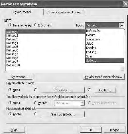 64. ábra Eszközök/Testreszabás/Mezők/Telephely felvitel A Típusnál válasszuk a Szöveg lehetőséget, majd kattintsunk az Átnevezés gombra, adjuk meg névnek azt, hogy Telephely.