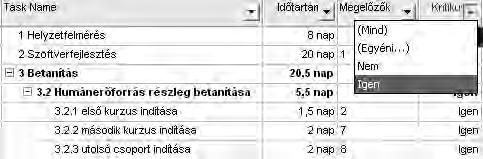 Lekérdezhetjük a Projekt/Szűrés alapja/további szűrők/kritikus szempont kiválasztásával majd a Kijelölés gombra kattintva is.