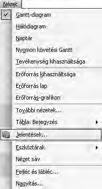 74. ábra Nézet menü/jelentés