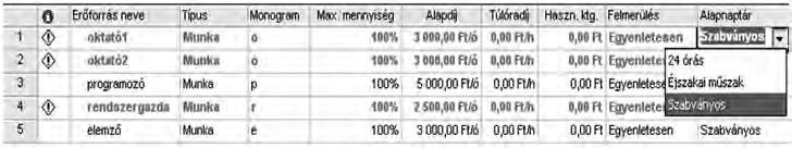 141. ábra Erőforrás lap nézet/alapnaptár Feladat Állítsa be a projekt alapnaptárát úgy, hogy 8-kor kezdődjön a munkaidő, délben félórás ebédszünet