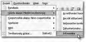 Munkánk eredményeként, ha most lenyitjuk a Projekt menüt, majd a Szűrés alapja almenü elemei közül az Informatika menüpontot