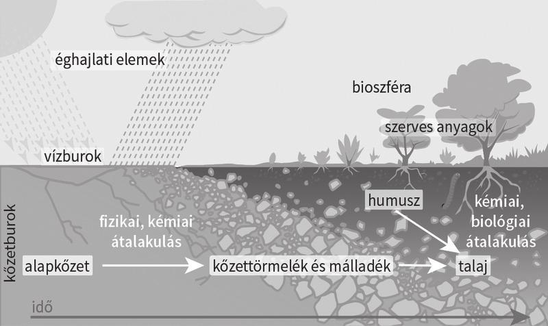 98. A talaj kémiája 1.