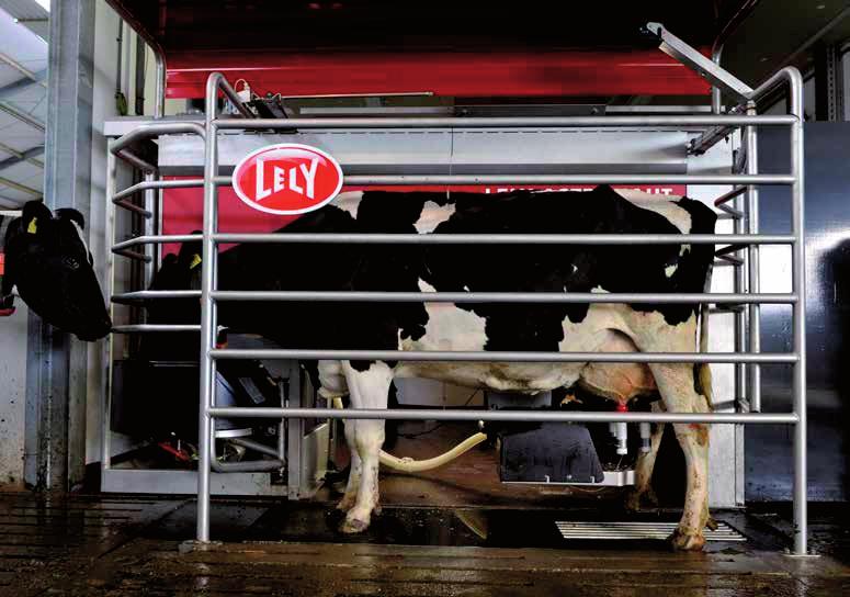 A Lely Center Gödöllőnél különösen nagy hangsúlyt fektetünk arra, hogy partnereinket a beüzemelést követően folyamatosan támogassuk.