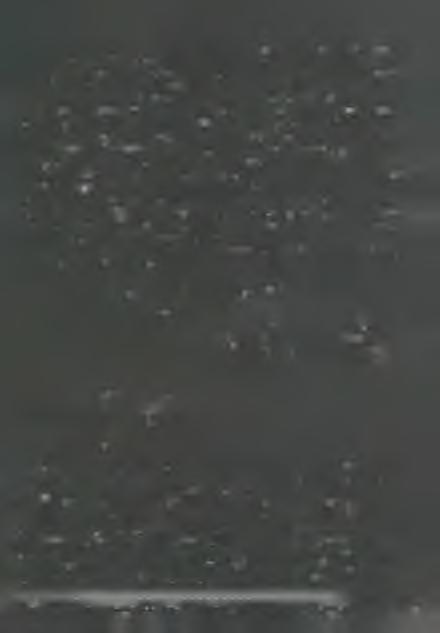 nálu nk, m in d a nagyon tisztelendő ta rto m á n y fő n ö k atyánál.