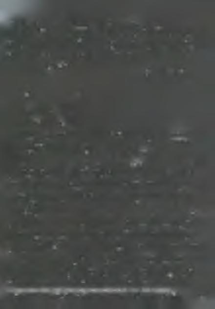 /a nehézségek/ léteznek a hazai körülm ények között, ahol nagy j ószándékunk és igyekezetünk m elle tt is azt h a llj u k a világi papság részéről is, a kik közül nem kevesen azon a véleményen