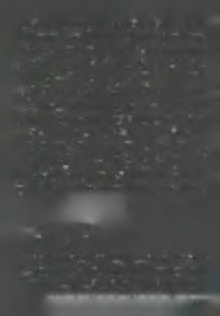 hatos kéréssel, hogy létesüljön olyan rendház, amelyben /rendtagok/ a többie k példaképeként éljék az igazi szerzetesi életet, és bevallom, nem gondoltam, hogy ez lehetséges.