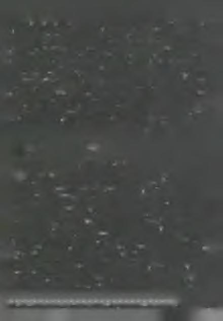 k o r lá tju k, hogy azok, akiket a m ie in kn e k neveztünk, elszakadnak tő lü n k és más uta t követnek. Ebben a szakadásban szeretett ta rto m á n yunk romlását, veszélyeztetettségét lá tju k.