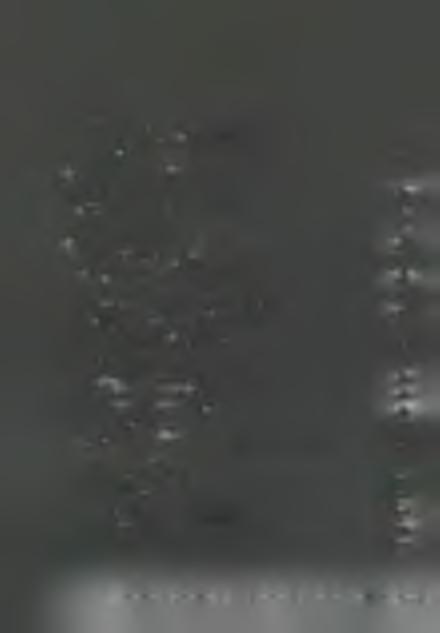 T a r t a l o m A j á n l á s 8 I.