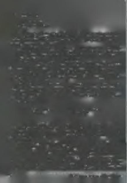 Róma, 1995- jú liu s 15- Kedves Károly Testvér, A z Ú r adjon Önnek Békét.