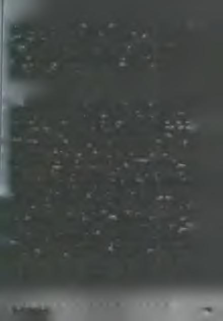 Esztergomban az érseki h ittu d o m á n y i főiskolán, részben Budapest-Pasaréten folyt. 1995 őszétől Szeged és Pasarét v o lt a provincia képzési helye.